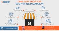 eStore Factory - Amazon Consultants Agency image 3